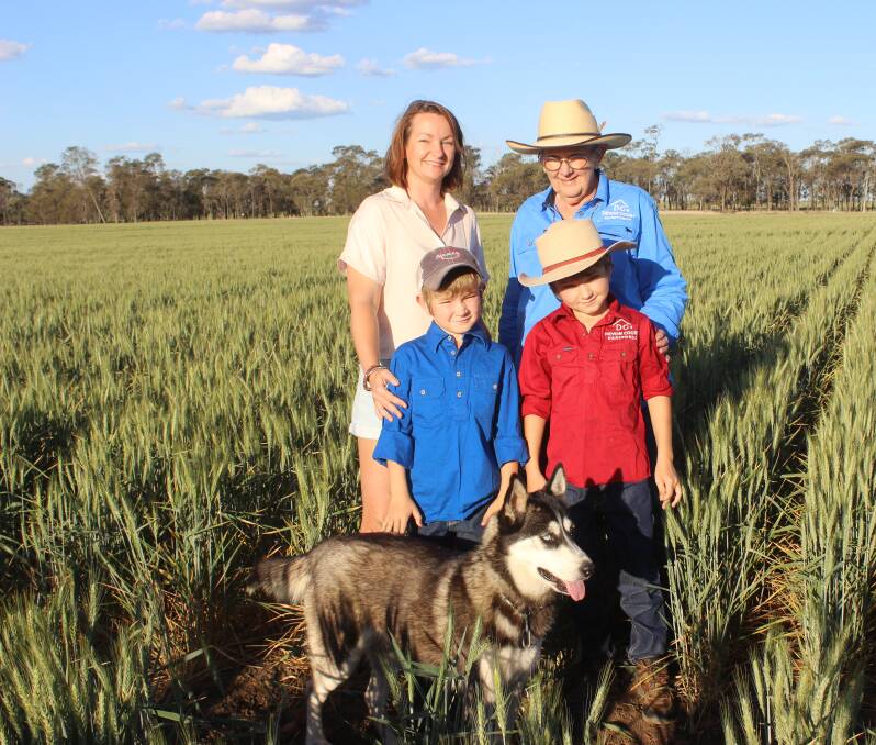 Ali, Robyn, Eddie and Archie Nixon, Jay Dee, Drillham, inspect their Sunmax wheat with the help of family pet, Indie. The crop was planted in April and the family is looking forward to the returns after harvest in October. 