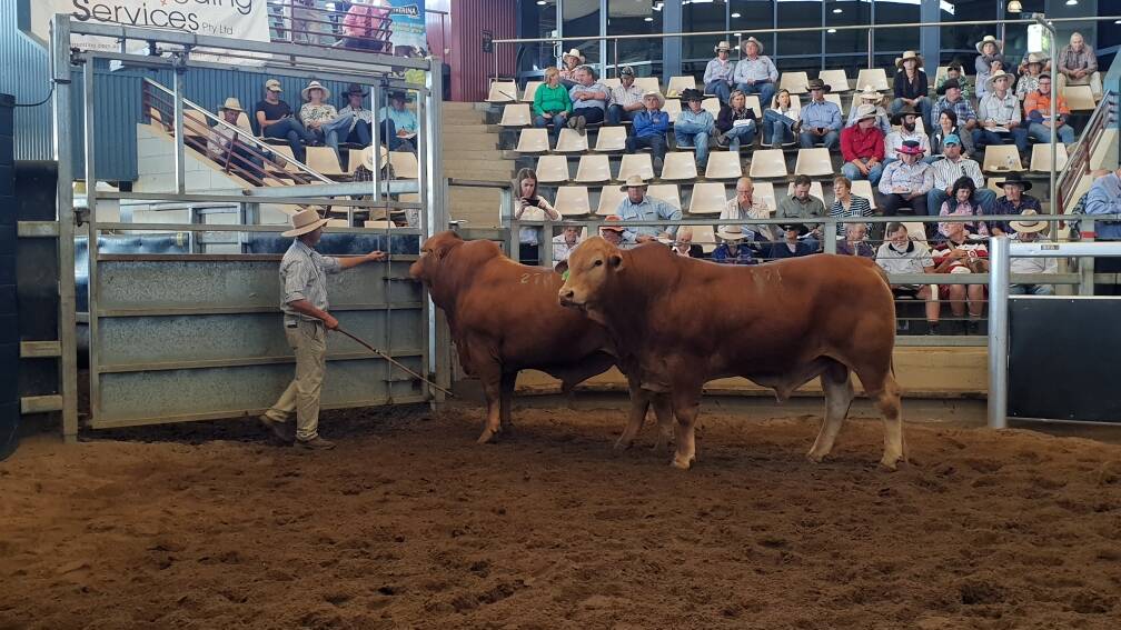 On day one, the sale topped at $55,000.