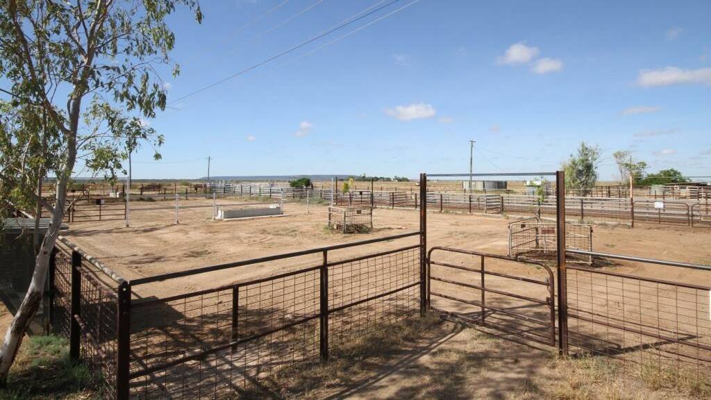 New management is needed for the Hughenden Saleyards and dipping facility. 