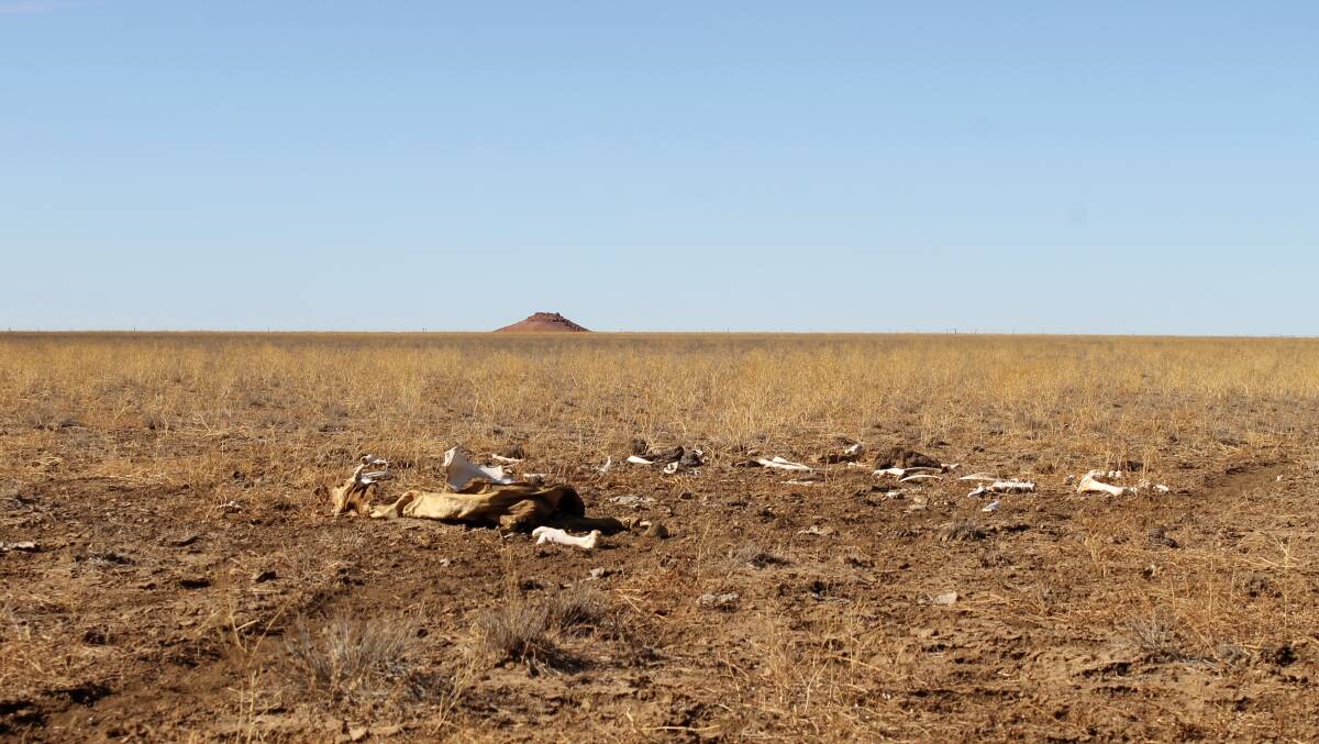 The Western Queensland Drought Appeal will take place on September 25-26 at Longreach.