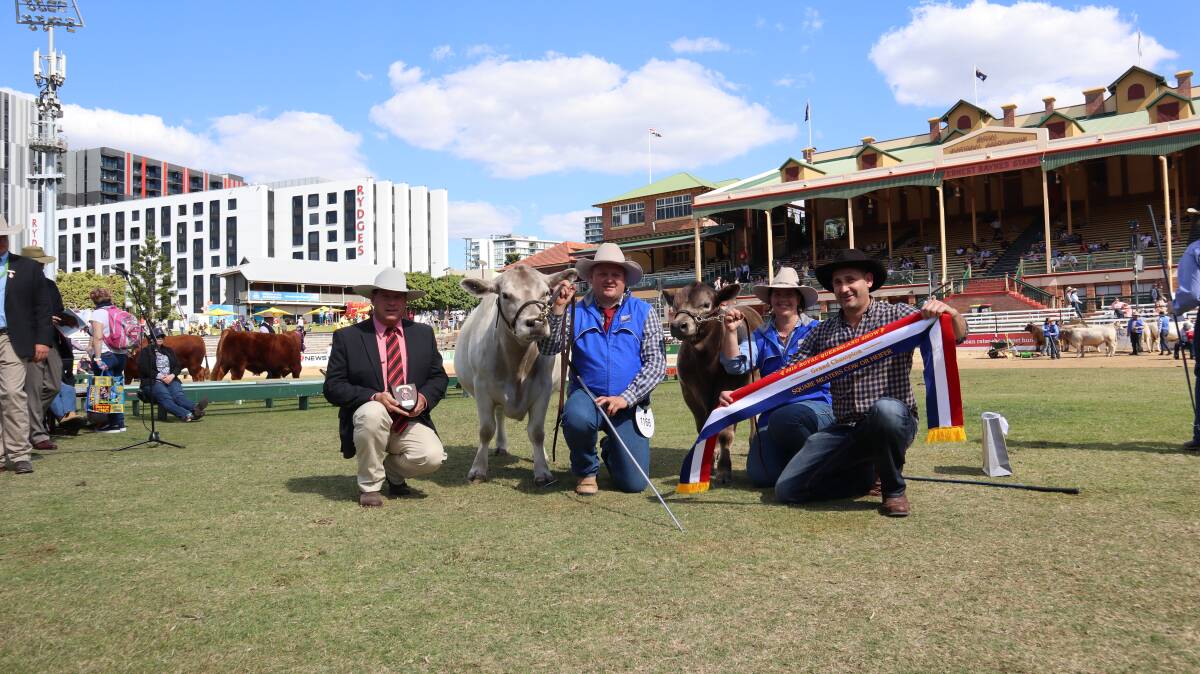 Square Meaters: Michael Smith, Elders Toowoomba, Troy and Tracey Nuttridge, TLC Fitting Service, Lockyer Waters, and Matt Foreman, Mooloola with grand champion cow Oakvale Helen, shown by Gary and Heather Sewell, Oakvale Square Meaters, South Burnett.