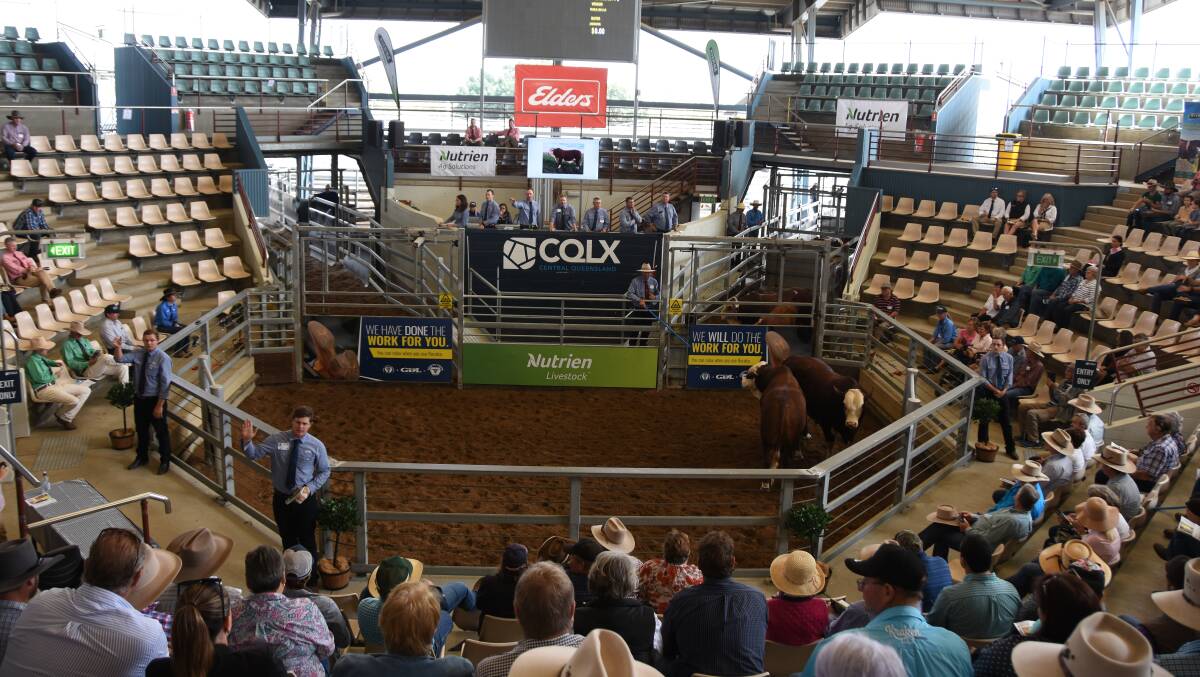 A sizable crowd has gathered for the National Braford Sale at CQLX. 