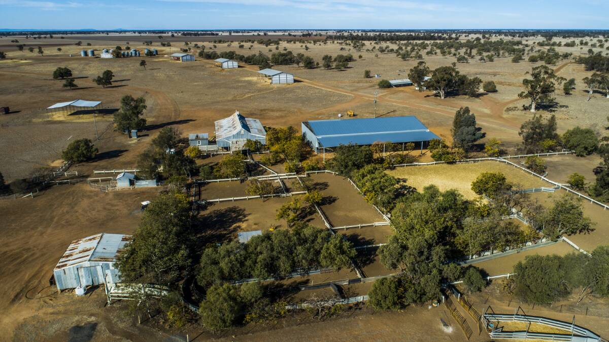 NSW OPPORTUNITY: Collie property New Merrigal is being offered by Colliers International through an expressions of interest process.