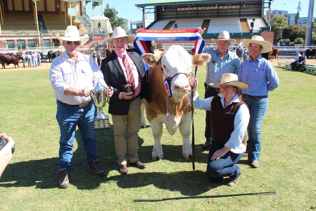 John Pocock and John Iseppi, Ellendale Red Simmental, Lowood, with Andrew Meara, Elders, and Bec and Lis Skene, Dalby, with Grand Champion Bull Meldon Park Matador.