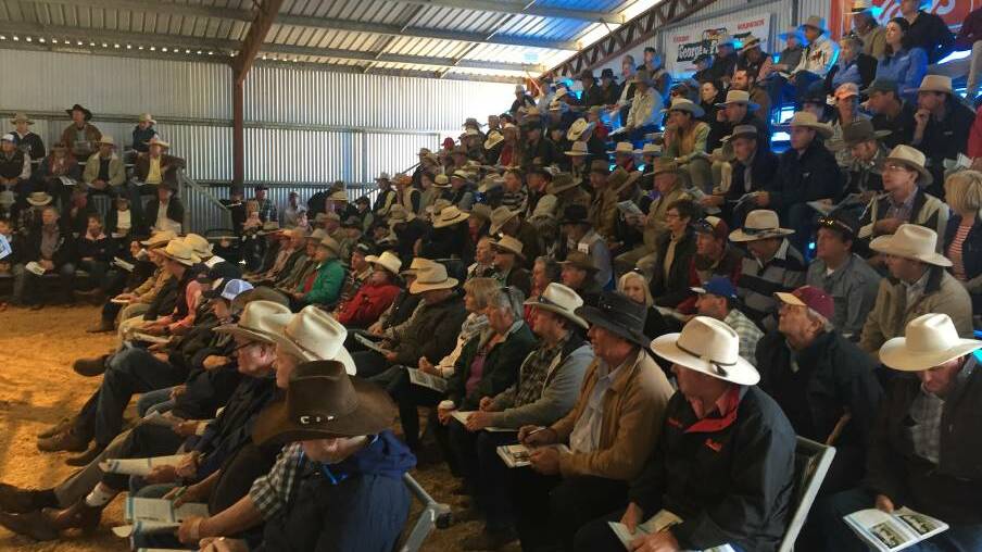 There was a large crowd at the 2017 sale. 