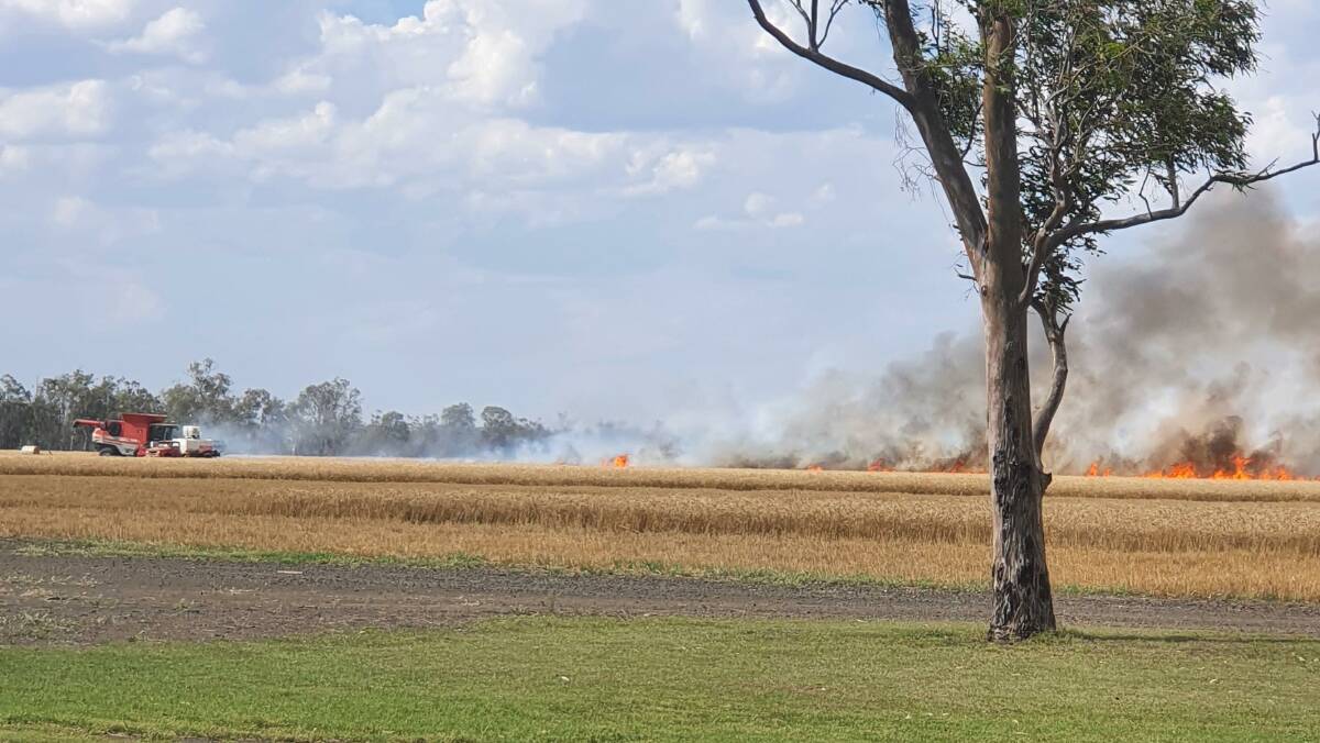 A fire destroyed 40 hectares of the Hoopert family's Lancer wheat at Glenlea, Jondaryan. Picture: Vicki Murphy