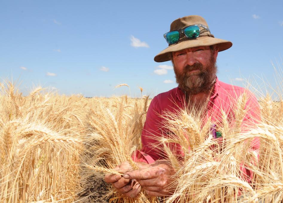 The front page story of Queensland Country Life's Grains Outlook supplement in 2013 featured farm manager Peter Schmidt, Glendaloch, Canaga, discussing how frost had impacted his wheat crop.