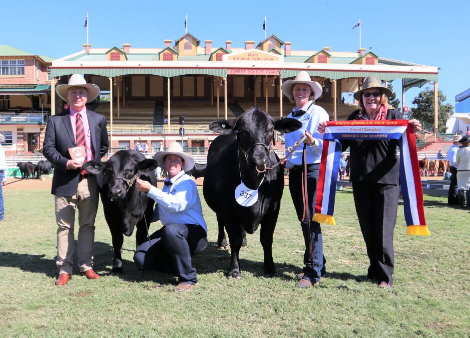 Andrew Meara, grand champion female Voewood Mercedes (exhibited by Edward and Kara Quinn), Tania Sainsbury and Nicole Hartwig and Wendy Fawcett.