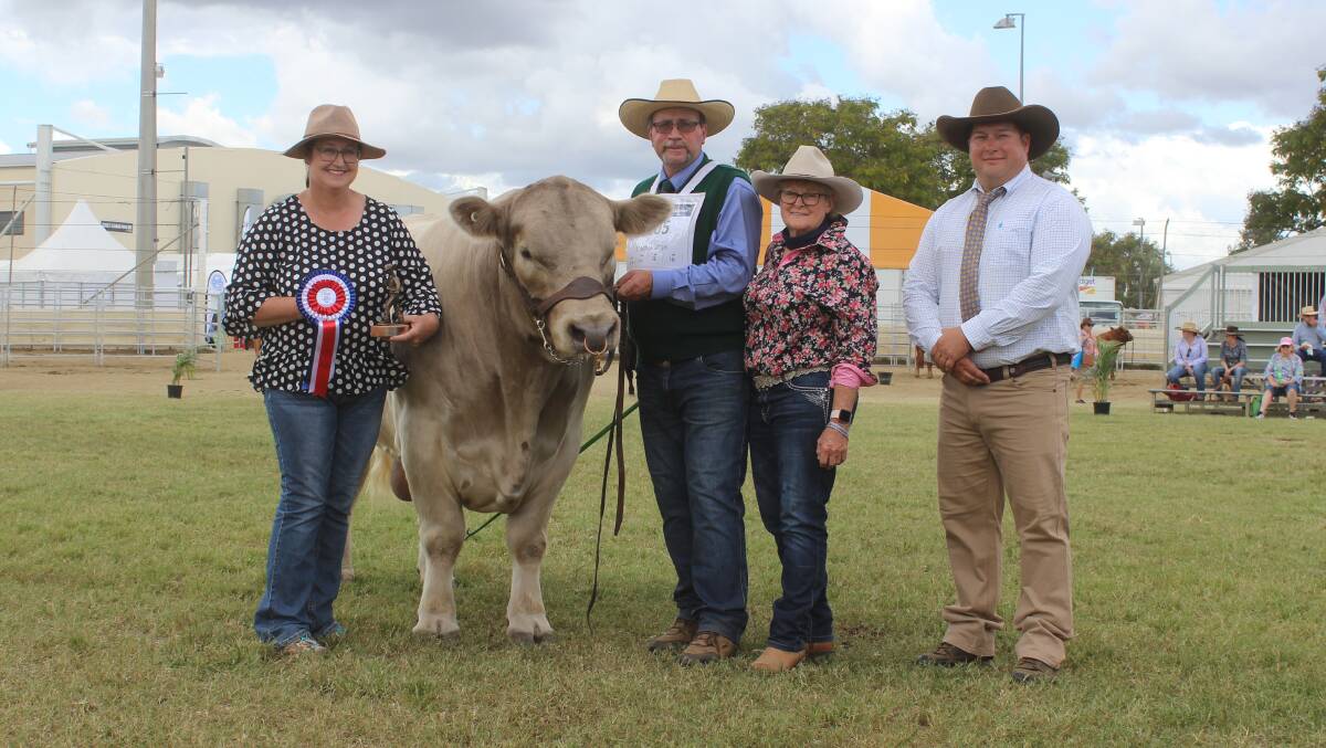 Lyn Richards, Rouchelle Murray Grey stud, Muswellbrook, NSW, decorating grand champion Murray Grey bull Shell-Dee Marvellous, with Dean Rasmussen, Kingaroy, Marilyn Hansen, Shell-Dee Murray Greys, Kingaroy, and judge Hayden Green, Wagga Wagga, NSW.