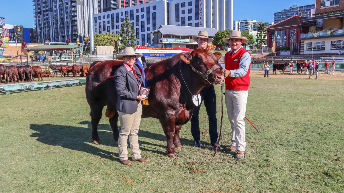 Lisa Hedges, Elders, Tim Light and Micheal Crowley with the Grand Champion Red Poll Bull, Lagoona Oreo, Lagoona Red Poll Stud. 
