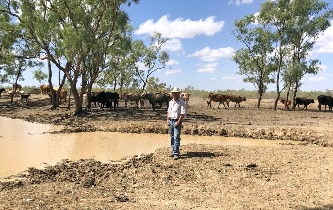 Northern cattleman, Marcus Curr, is calling for urban exposure of animal activist agendas in the wake of allegations of payments. Picture - Shelley Curr.