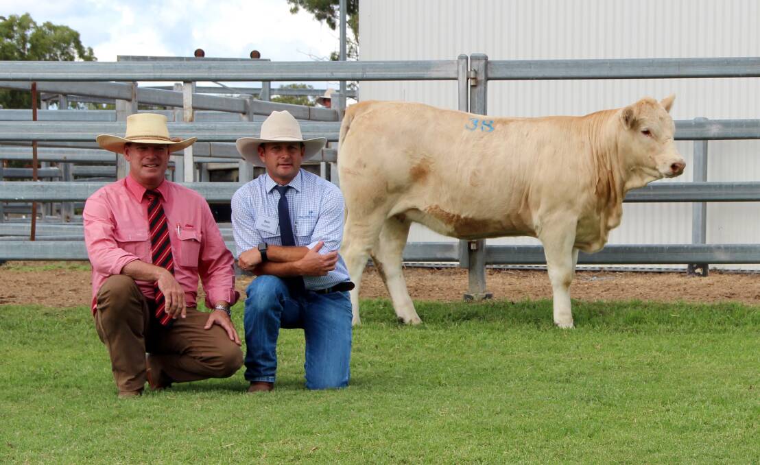 Elders auctioneer Michael Smith and Palgrove's Ben Noller with top price unjoined heifer, Palgrove Flare R163E (P) R/F, who sold for $24,000. 