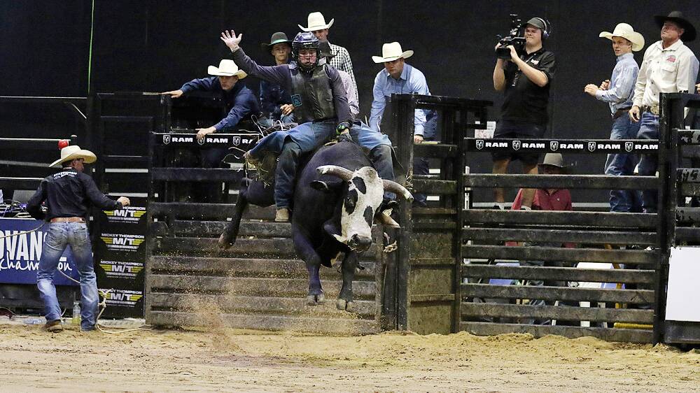 The best bull riders in Australia battled it out at the Great Western Hotel. Pictures: Terry Hill