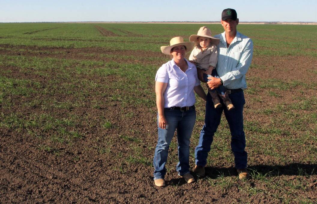 Jody and Gerard Tully, with son Archie, in the 1000 hectares of Flanker variety organic wheat, planted at eight inch spacings at Mareto, Augathella. Picture - Sally Cripps.
