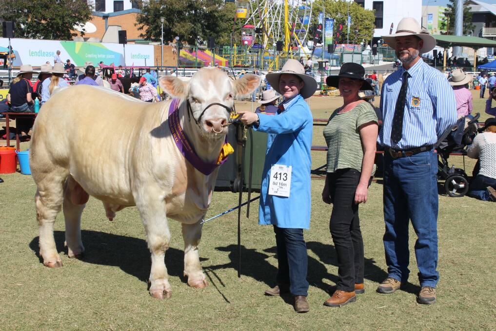 Celebrating their junior champion Charolais bull win was Darren and Anne-Maree Elliott, Tor-Galen Charolais with the winning bull, Tor-Glaen Max (AI) (P), led by Aislynne Boland, West Moreton Anglican College. 