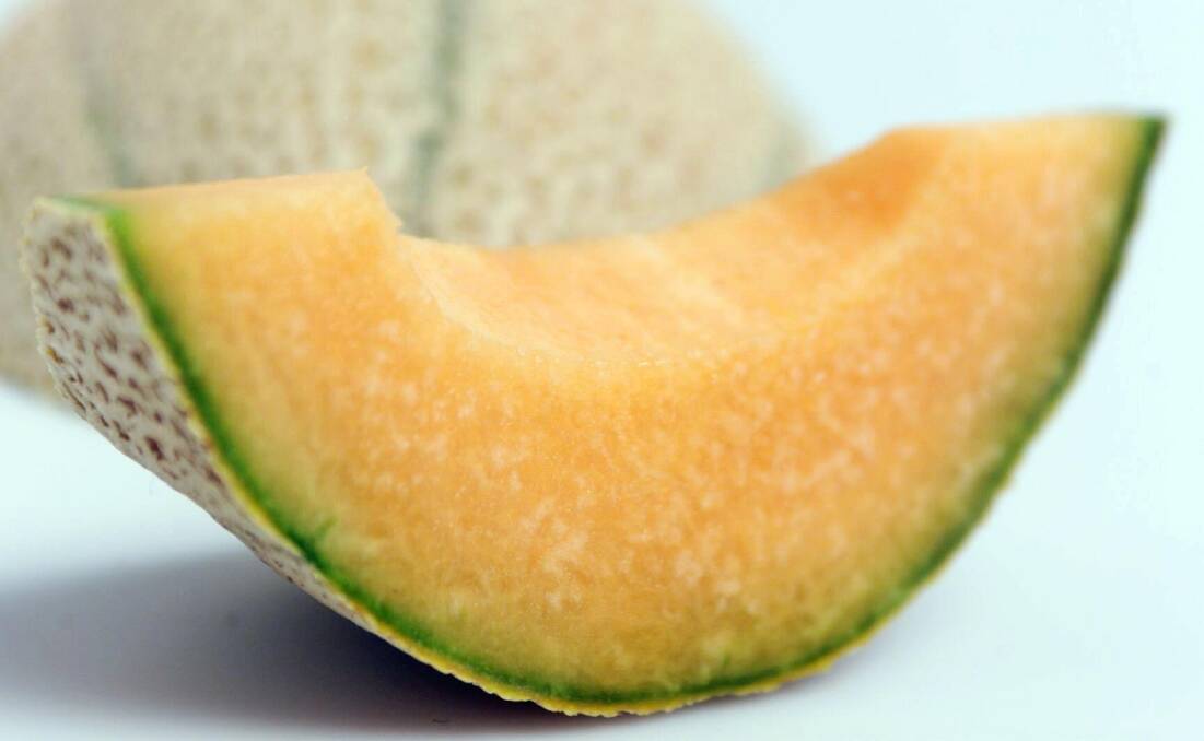 MOVING FORWARD: The Australian Melon Association has started to make moves to win back rockmelon consumers. 