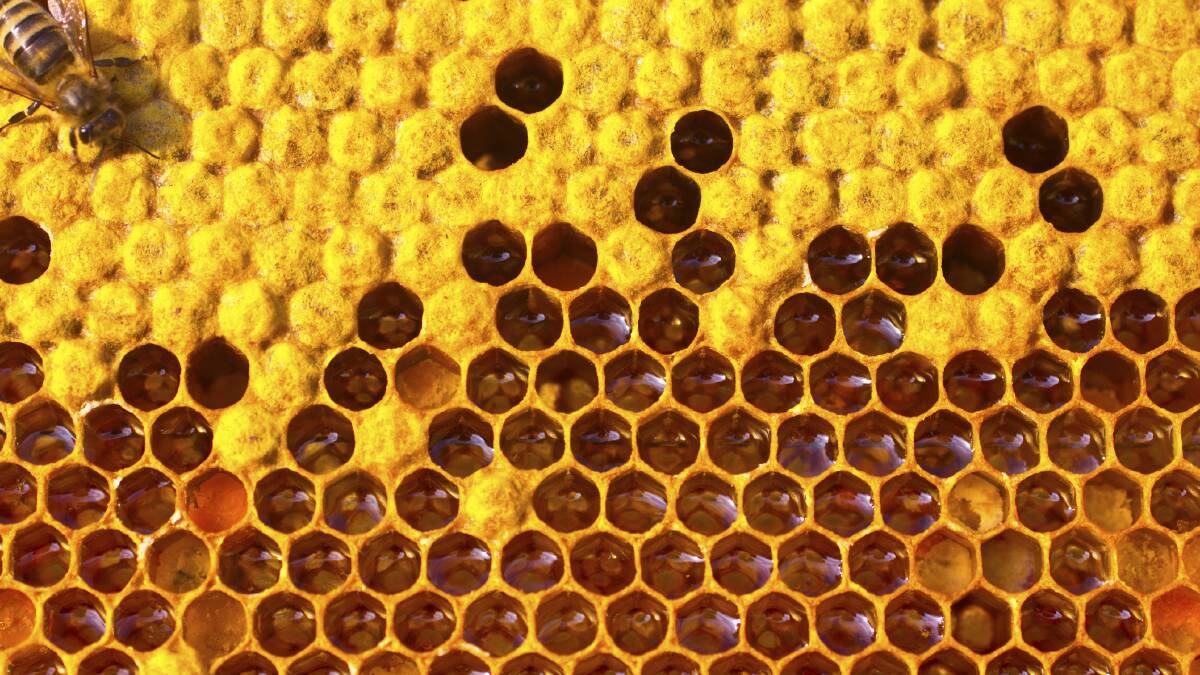 Honey industry has a chance to bee heard