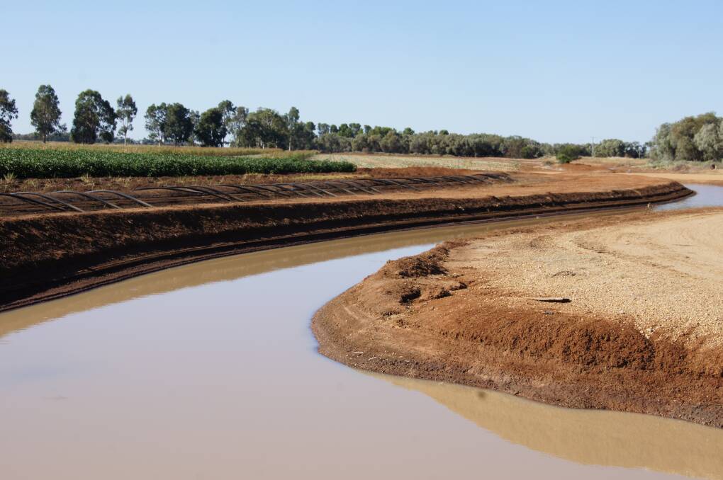 Offset projects could reduce 605GL of cutbacks to Southern Basin irrigation, but the Wentworth Group says there are too many holes in design proposals. 