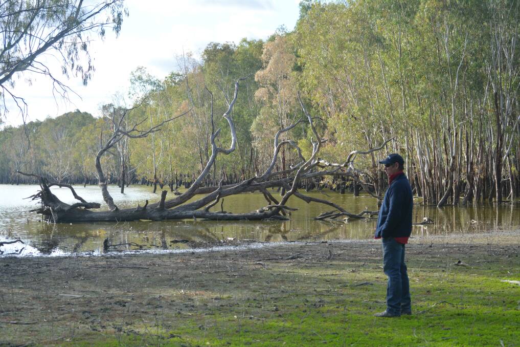 Werta Werta Wetlands on Chowilla Station near Renmark in South Australia.
