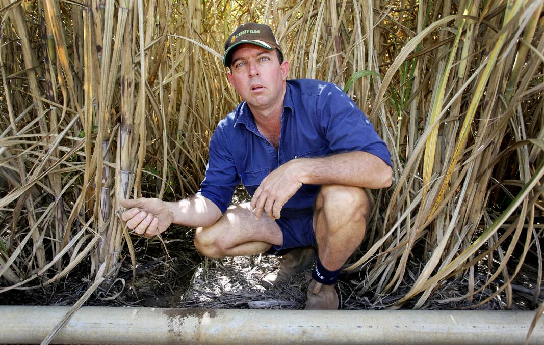 Bundaberg, Queensland canegrower Dean Cayley says his $200,000 investment in energy efficient, low pressure irrigation has been wiped out by rising power costs.