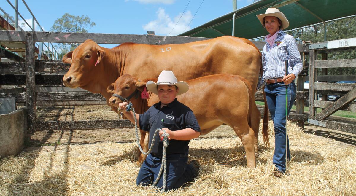 Celestino Pozzebon, Conclare Droughtmasters bought Oakmore Queenie and her heifer calf from Sharon Harms.

