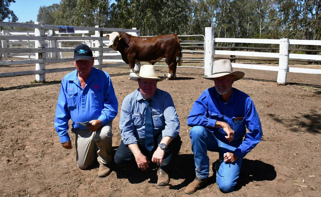 Doug Bradshaw, Blue Dog Simmentals, GDL's Mark Duthie and Lawrie Baker, Wandoan with Blue Dog Night Time N187. 