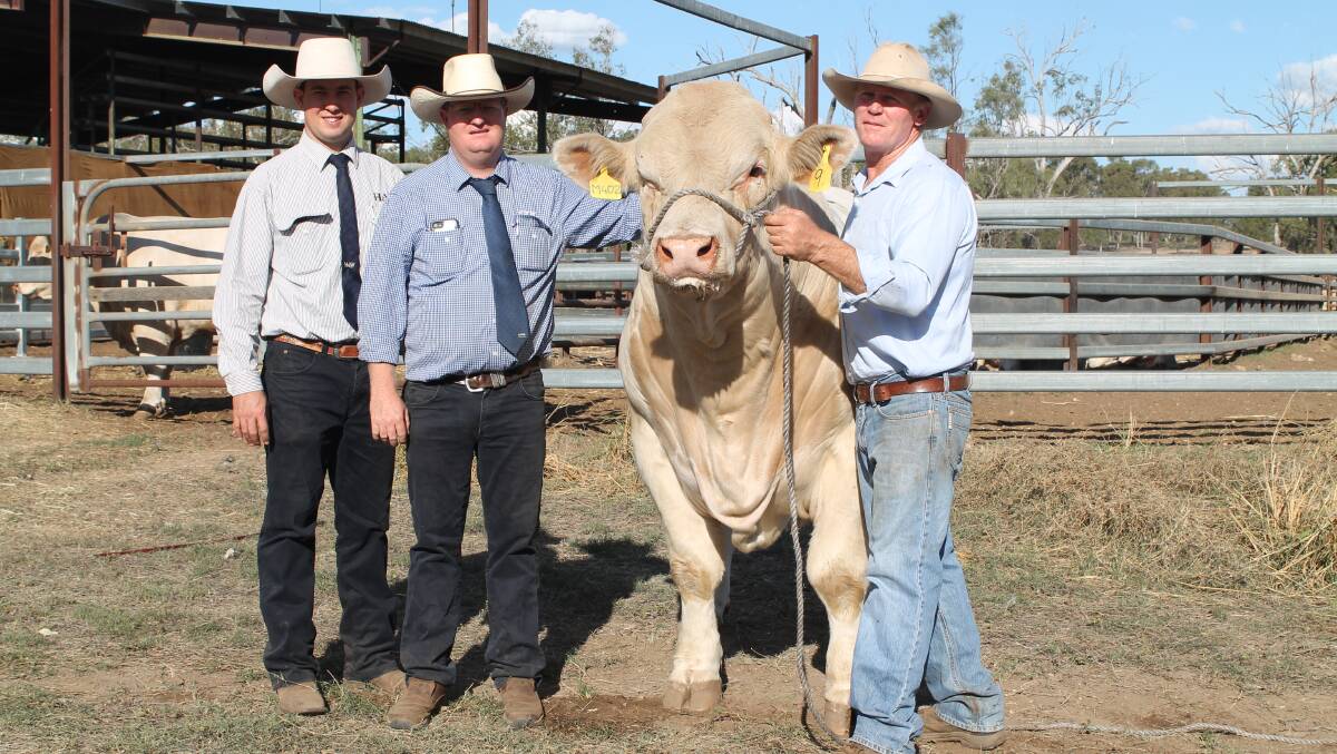 Jake Passfield, Hoch & Wilkinson, Clermont, auctioneer Mark Duthie, GDL, Dalby, with the $28,000 top selling Moongool M402E (P) held by Ivan Price, Moongool Charolais, Yuleba.



