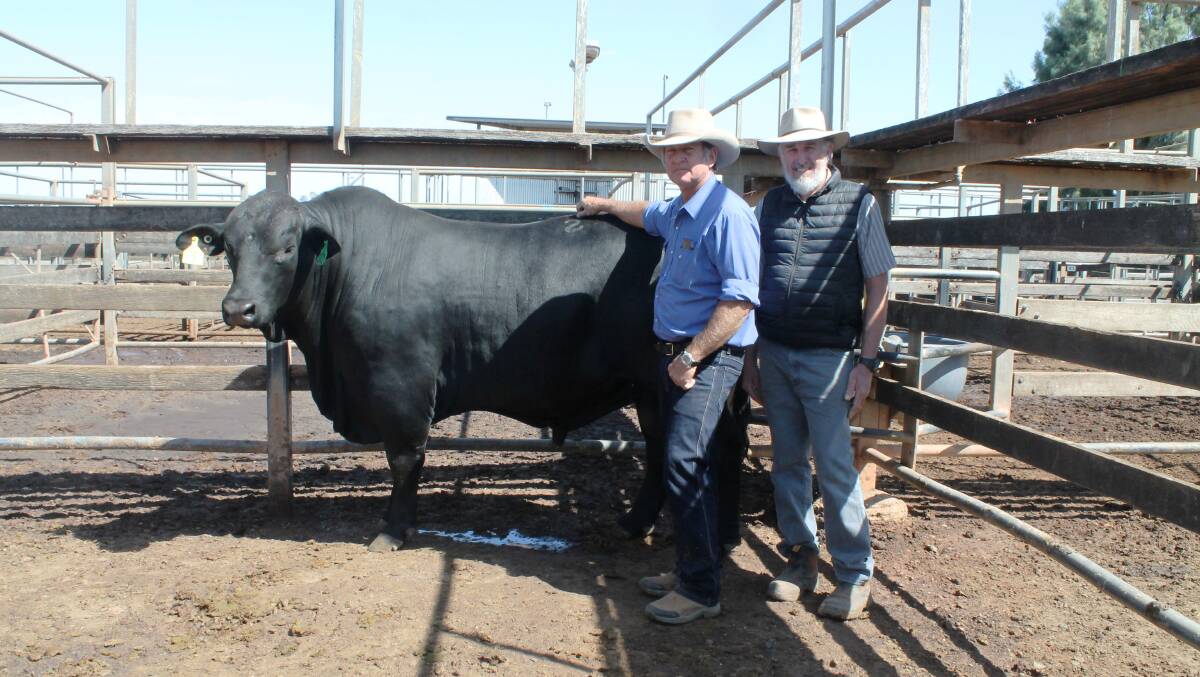 Vendor Bruce Woodard, Bonox stud, Taroom with buyer of the $20,000 second highest priced bull, Bonox 1031 (P) Rodney Johannesen, Folkslee Brangus, Brooweena.

