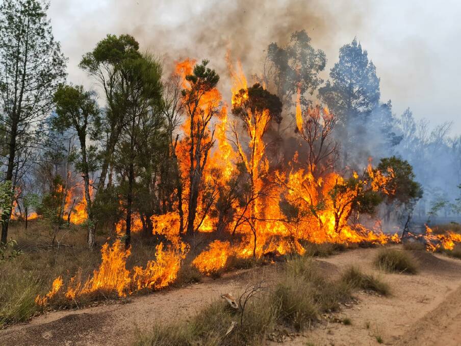 The recent bushfires spanned 54 days and burned more than 90,000 hectares, with 38 fires that were sustained more than four hours and the longest running for 12 days. Picture Queensland Fire and Emergency Services