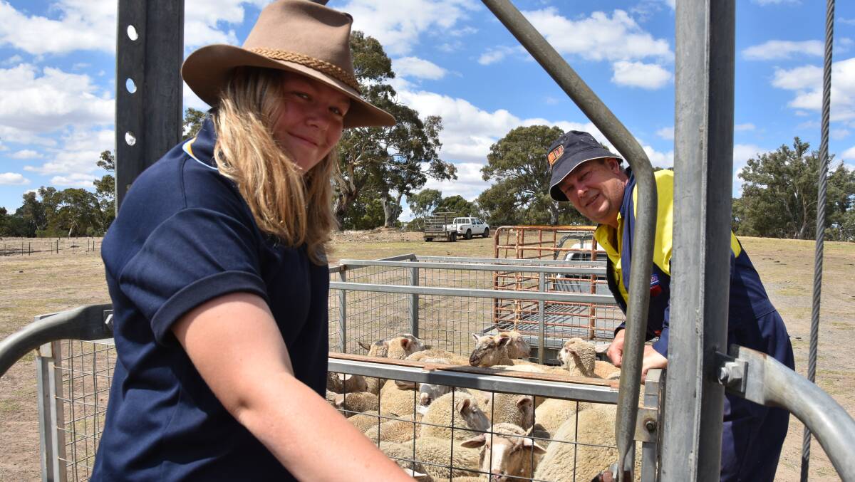 BIG LOAD: Isabelle and Tim Fairey, Truro, SA, bought about 125 crossbred lambs at Mount Pleasant, SA, last week.