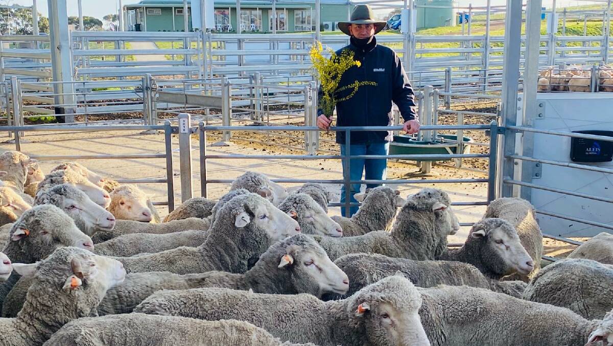 Jamie McConachy, Charles Stewart & Co, at the sheep and lamb sale at the Central Victoria Livestock Exchange at Ballarat, Vic, on Tuesday.