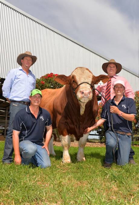 The $160,000 record-breaking bull which sparked a partnership between Brett Nobbs, Nobbs Cattle Co, Duaringa, Qld, and Tom and Lizzy Baker, Woonallee, Furner, SA.