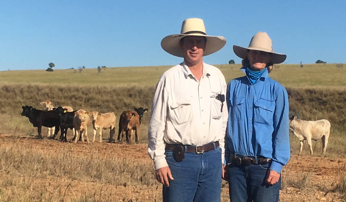 CONSISTENT QUALITY: Peter and Vicki Howard started using Angus bulls about 10 years ago and continue to be impressed with their performance.