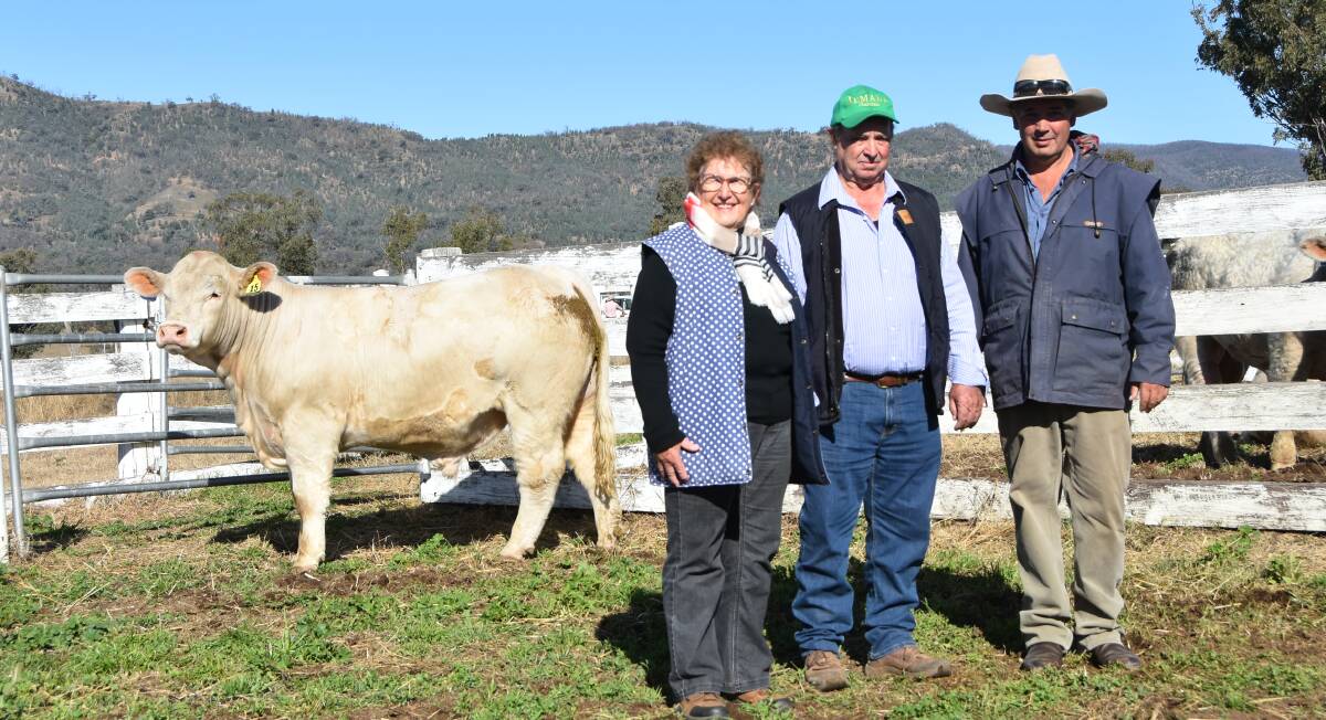 One of the four top price bulls Minnie-Vale Pirate with new owners Maylene and Terry Griffin, Temana, Baradine and vendor Jason Salier