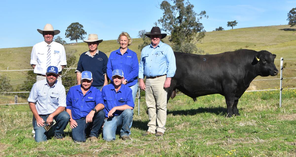 Top price Sugarloaf Payweight P74 with auctioneer Paul Dooley, vendor Jim Tickle, purchaser Margo Duncan, Boambee Angus, East Seaham, agent Paddy Dillion, Dillion and sons, agent Greg Lidbury, Bowe and Lidbury, Aaron Lieb, Boambee Angus and Jamie Grosser Boambee Angus farm manager. 