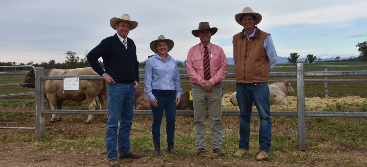 Auctioneer Paul Dooley with vendor Kate James, Wallawong, Elders agent Brian Kennedy and vendor Lachlan James, Wallawong, with a selection of bulls sold. 