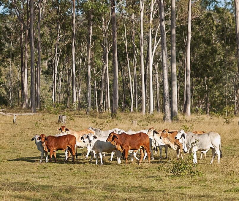 The new approach leaves producers to determine what level of on-farm biosecurity they will take to manage the risks associated with Johne's Disease.
