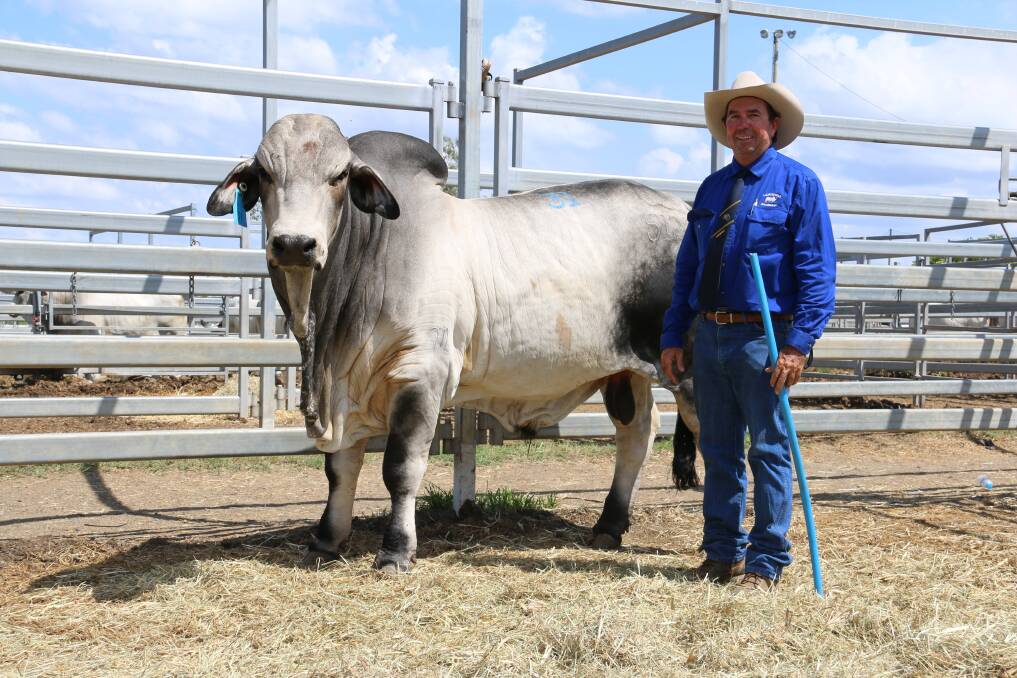 Matthew McCamley with Lancefield M Maxim 5126/M who sold to Annie and Myles Finger for $55,000.