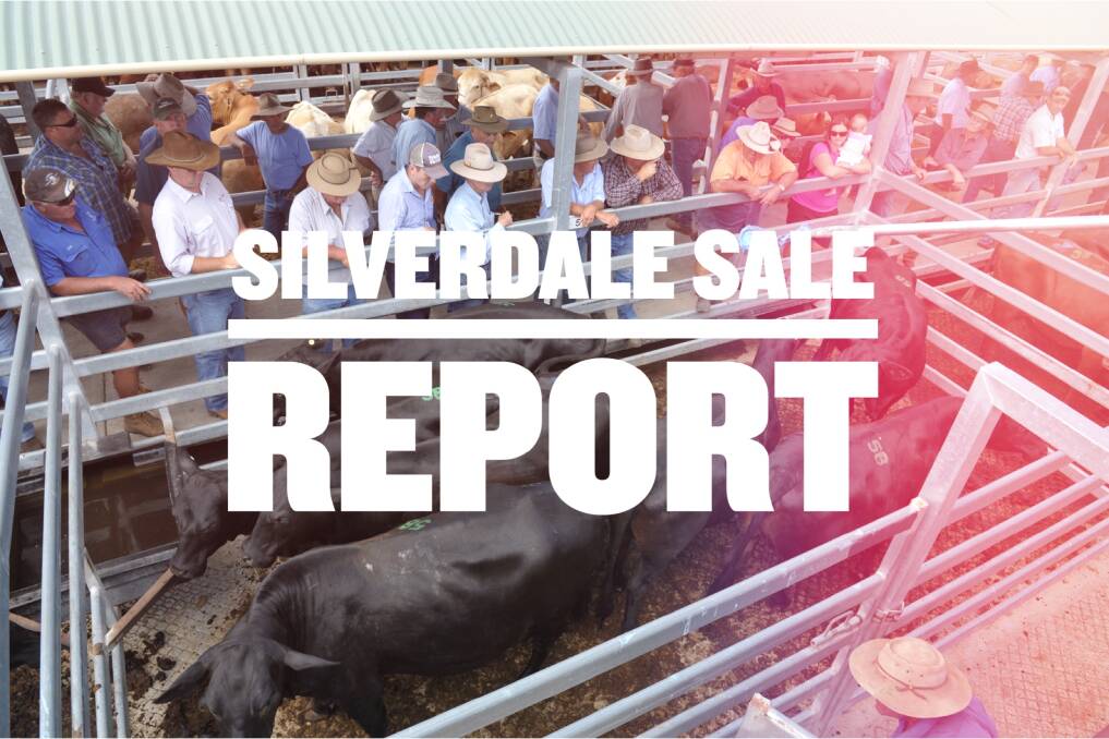 Store cows make $1399 at Silverdale