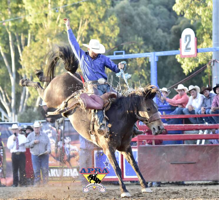 Brad Pierce: If he competes in the Saddle Bronc at Comet Pierce will be a contender to watch. - Picture: Dave Ethell – www.dephotos.com.au