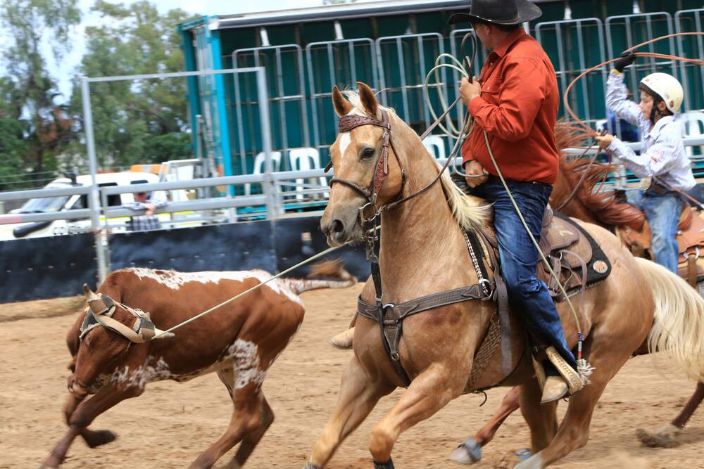 Emerald delivers rodeo action