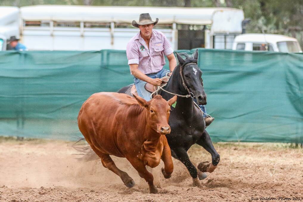 DRAFTING CONTENDER: Peter Knujdsen riding Jen Hawkins to win the Open draft at Glenmorgan. - Picture: Sue Waldron