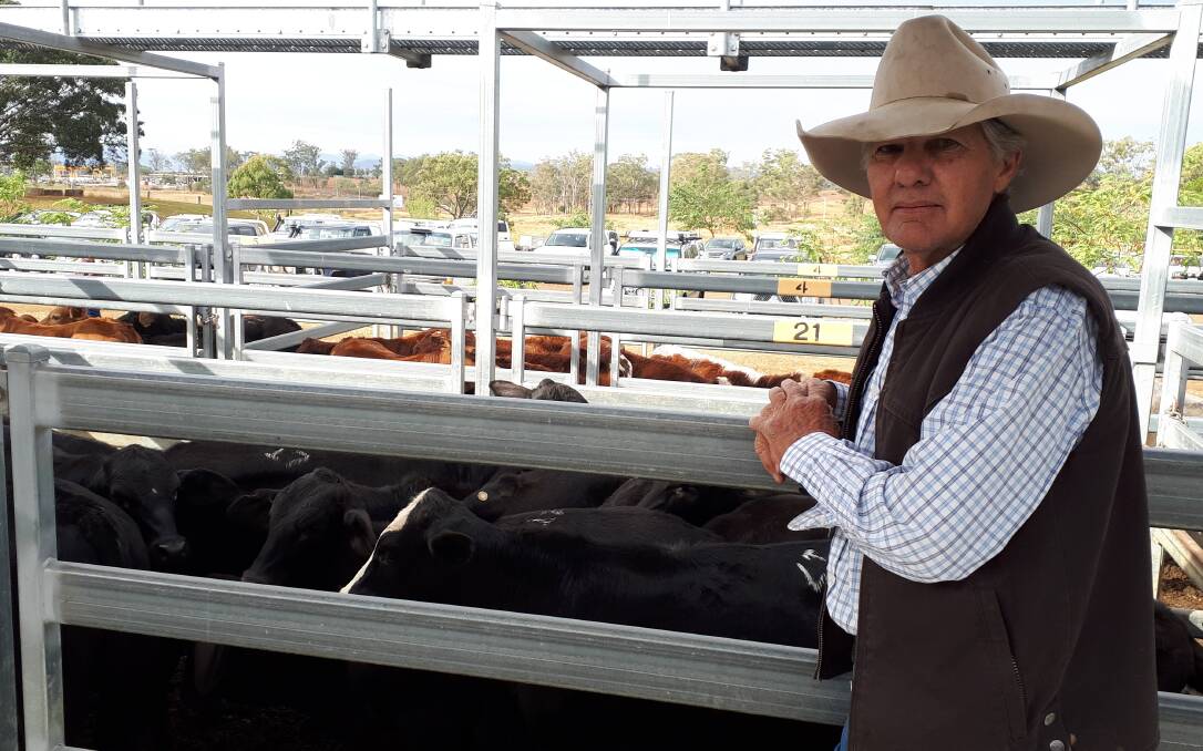 Frank Browne of Moogerah sold Brangus weaner steers for $735 at the Beaudesert weaner sale on Saturday.  
