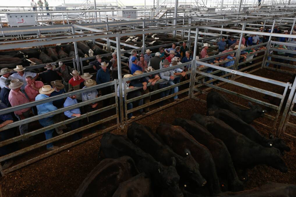 The study was conducted in 2016-17 following ACCC’s own investigation into an alleged collective boycott by cattle buyers at Barnawartha saleyards.
