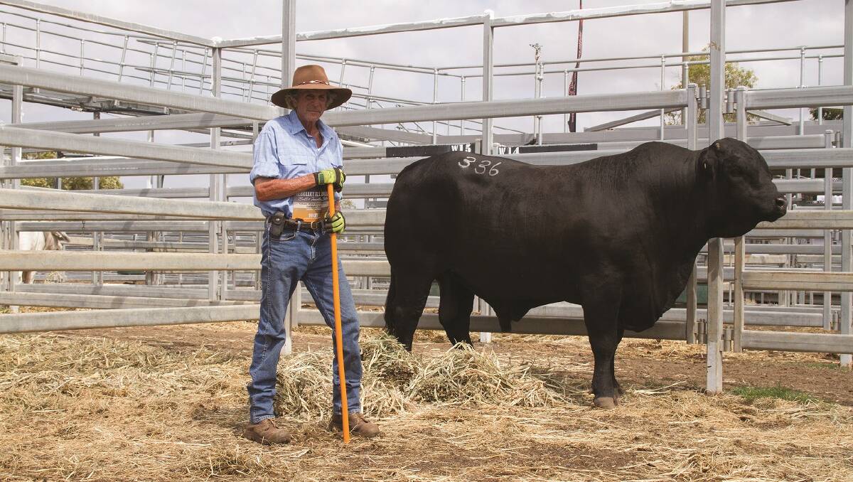 Doonside Flybuy (P) topped the Brangus section at $12,000 and is pictured with vendor, Bill Geddes.