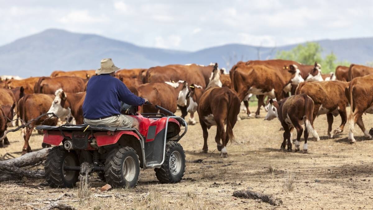 Seventy per cent of all reported farm injuries are via quads, tractors, horses or cattle, with 60pc of injuries occurring in Queensland.