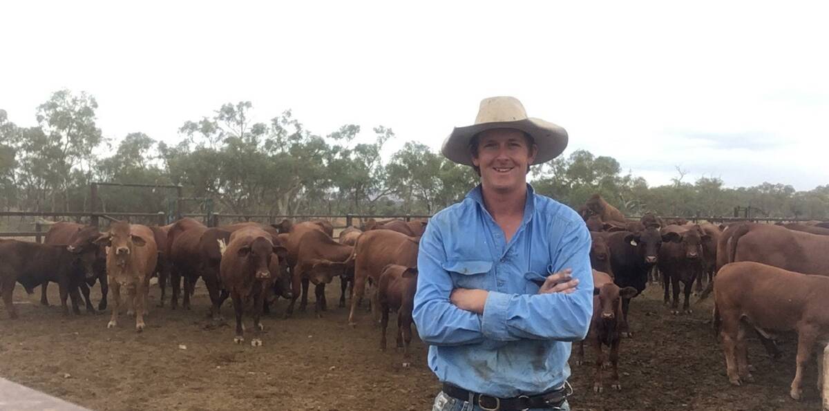 Steve Hayes, The Garden Station, via Alice Springs, will be the associate judge for the Droughtmaster stud cattle at Beef 2018.
