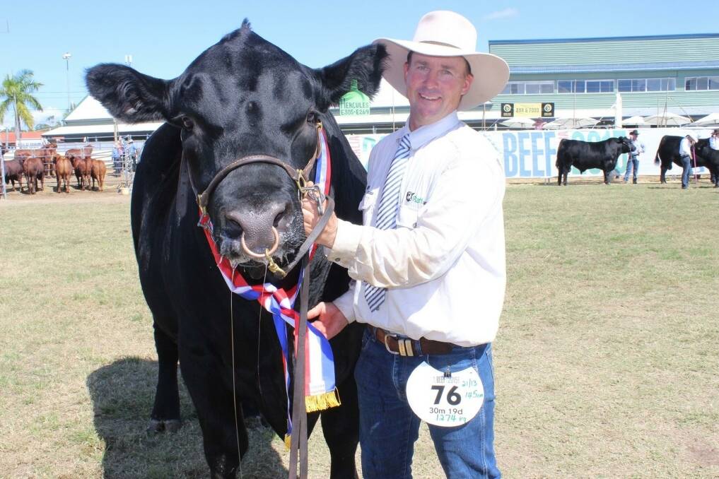 Grand champion Angus bull at Beef 2015, Raff Hercules, exhibited by the Raff family, Drillham, and held by Andrew Raff.