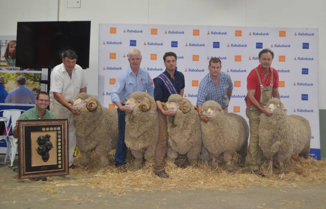 SHOWING SUCCESS: The Merryville Merino stud, Boorowa, NSW, with its team of three rams and two ewes, awarded the Roger Birtles Memorial for March-shorn group, at this year's Great Southern Supreme Merino Show.