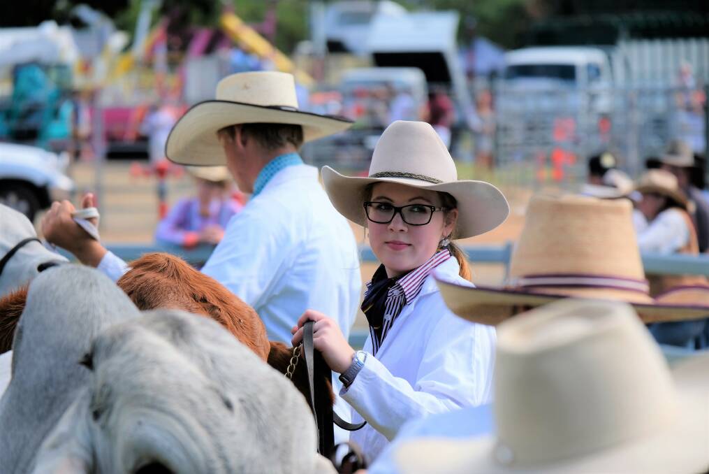 ROCKHAMPTON GRAMMAR: Mackenzie Leeson, year 11, is part of the show cattle team. Photo: Rachael McDonald